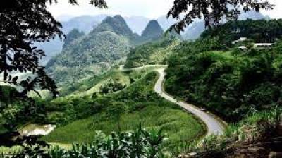 Thịt Gà Đông Lạnh Nhập Khẩu Giá Sỉ Tại huyện Văn Yên, Yên Bái